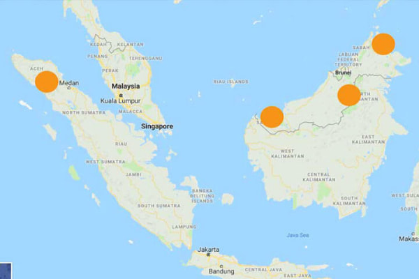 Donde viven los orangutanes en Indonesia y Malasia